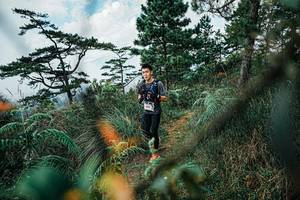 BIB: 
                            <button type="button" onclick="openModal(25259480)" class="btn btn-primary btn-sm float-right btn-popup" data-toggle="modal" data-target=".modal-high-quality">
                        <i class="fas fa-shopping-cart"></i> Add to Cart
                    </button>
                                            <button type="button" onclick="isThisMe(25259480, true)" class="btn btn-success btn-sm float-right btn-popup btn-isme hidden" data-toggle="tooltip" data-placement="bottom" title="นี่คือรูปของคุณใช่ไหม คลิกที่นี่เพื่อเอาเข้าอัลบั้ม">
                        <i class="fas fa-plus"></i> Add to album
                    </button>
                    <button type="button" onclick="isThisMe(25259480, false)" class="btn btn-warning btn-sm float-right btn-popup btn-isnotme hidden">
                        <i class="fas fa-ban"></i> Remove from album
                    </button>